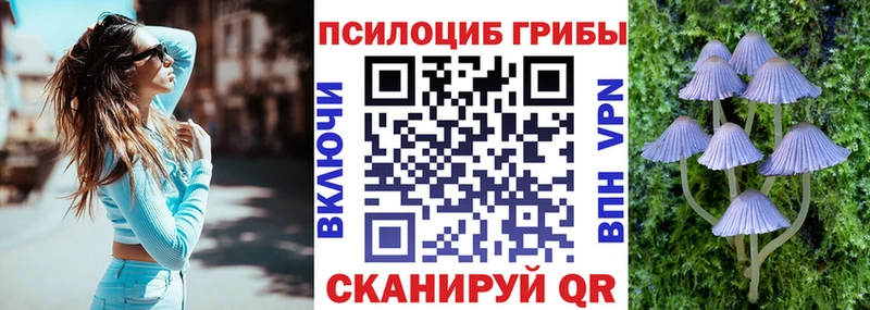Псилоцибиновые грибы Cubensis  Палласовка 